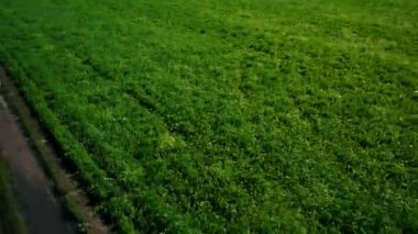 Hava: sporcu adam çalıştıran. Erkek atlet açık koşu. Spor.