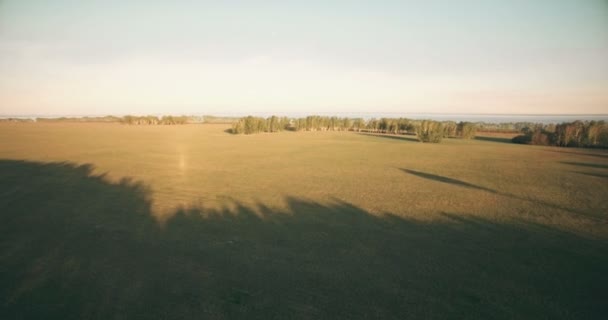 Vista aérea de 4k. Bajo vuelo sobre campo rural de trigo verde y amarillo . — Vídeo de stock