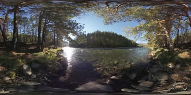 4k 360 Vr Virtual Reality av en flod rinner över stenar i denna vackra skog — Stockvideo