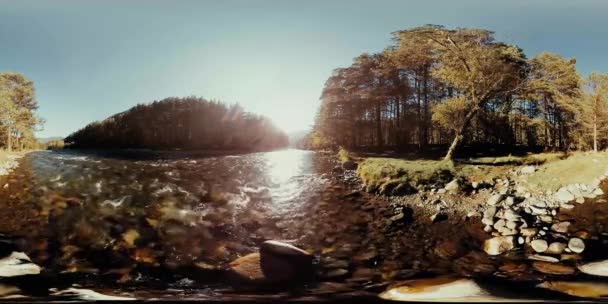 4K 360 VR La realidad virtual de un río fluye sobre rocas en este hermoso bosque — Vídeo de stock