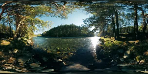 4k 360 Vr sanal gerçeklik bir nehir akar bu güzel orman kayalarda üzerinde — Stok video