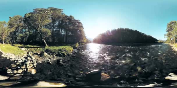 4k 360 Vr Virtual Reality van een rivier stroomt over rotsen in dit mooie bos — Stockvideo