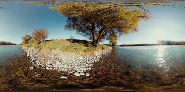 360 VR Realidade Virtual de um rio flui sobre rochas nesta bela floresta de montanhas — Vídeo de Stock