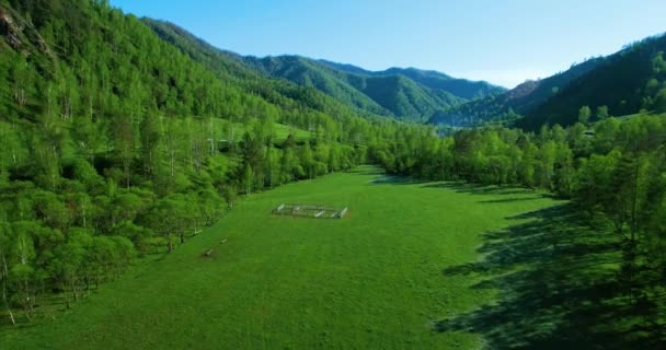 UHD 4K aerial view. Low flight over fresh cold mountain river, meadow and road at sunny summer morning. — Stock Video