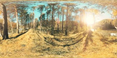 UHD 4k güzel güneşli dağ orman manzara 360 Vr sanal gerçeklik