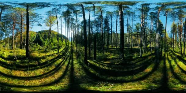 Uhd 4k 360 Vr Virtual Reality Of A Beautiful Sunny Mountain Forest Landscape Video By C Markin Stock Footage Uhd 4k 360 Vr Virtual Reality Of A Beautiful Sunny Mountain Forest Landscape Video By C Markin Stock Footage