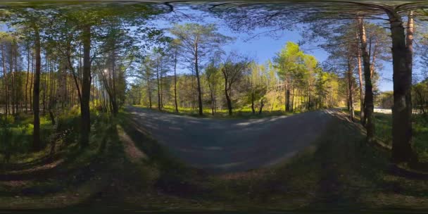 UHD 4K 360 VR Virtual Reality of a beautiful sunny mountain forest landscape — Stock Video