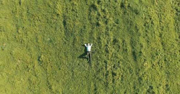 Vertikalflug über Geschäftsmann, der auf frischer grüner Wiese liegt. Blick von oben auf entspannten Mann. — Stockvideo