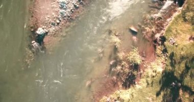 4 k Uhd havadan görünümü. Düşük uçuş üzerinde taze soğuk dağ nehir kıyısında güneşli yaz sabahı.