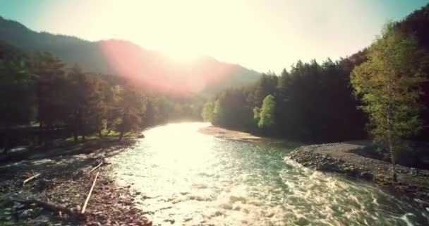 Vue aérienne 4k UHD. Vol bas au-dessus d'une rivière de montagne fraîche et froide au matin ensoleillé d'été . — Video