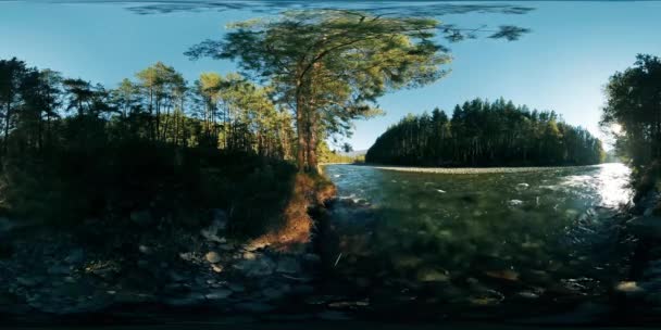 Виртуальная реальность 4K 360: река плывет по скалам в этом красивом лесу — стоковое видео