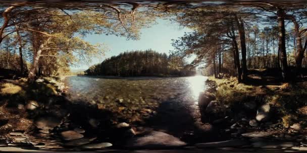 4 k 360 숲이 아름 다운 바위 흐른다 강의 Vr 가상 현실 — 비디오