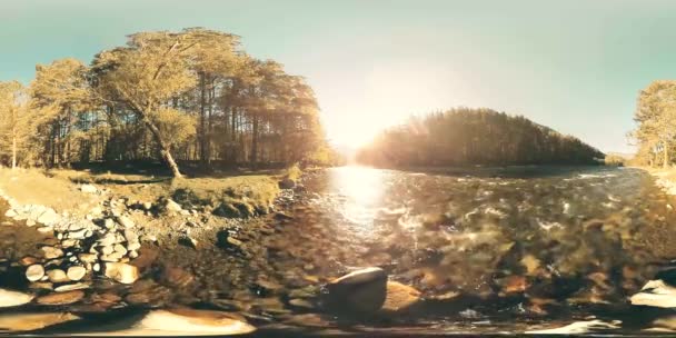 4k 360 Vr εικονική πραγματικότητα ενός ποταμού που ρέει πέρα από τους βράχους σε αυτό το όμορφο δάσος — Αρχείο Βίντεο