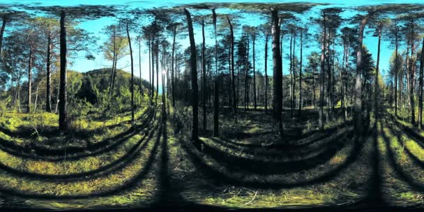 UHD 4K 360 VR Realidad virtual de un hermoso paisaje de bosque de montaña soleado — Vídeo de stock