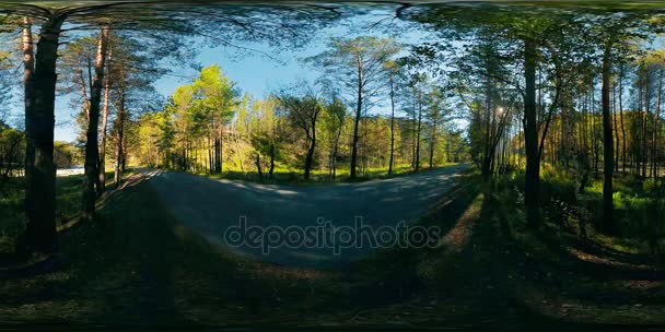 UHD 4K 360: виртуальная реальность красивого горно-лесного ландшафта — стоковое видео