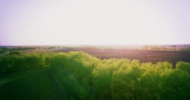 4 k hava manzara. Düşük uçuş yeşil ve sarı buğday kırsal alanın üzerine.