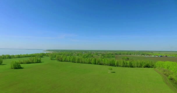 Vista aérea de 4k. Bajo vuelo sobre campo rural de trigo verde y amarillo . — Vídeo de stock