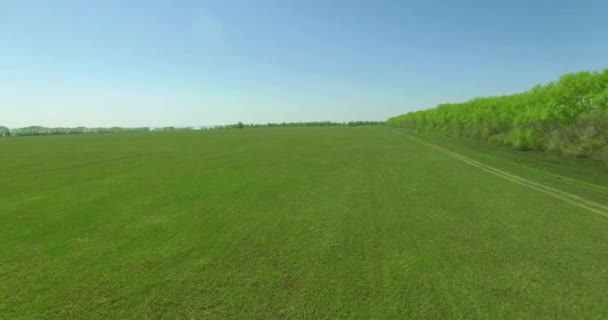 Vista aérea 4k. Vôo baixo sobre campo rural de trigo verde e amarelo . — Vídeo de Stock