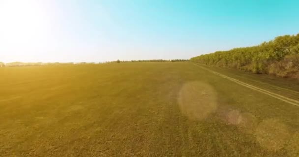 4 k luchtfoto. Lage vlucht over groene en gele rural tarweveld. — Stockvideo