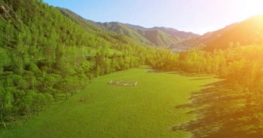 UHD 4k havadan görünümü. Düşük uçuş taze soğuk dağ nehir, çayır ve yola güneşli yaz sabahı.