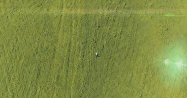 Taze yeşil çayır üzerinde yalan işadamı üzerinde dikey hareket uçuş. Üstten Görünüm üzerinde rahatlatıcı dostum.