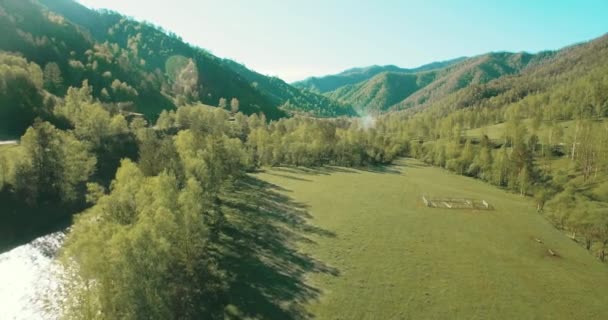 Mid-air flight over fresh mountain river and meadow at sunny summer morning. Rural dirt road below. — Stock Video