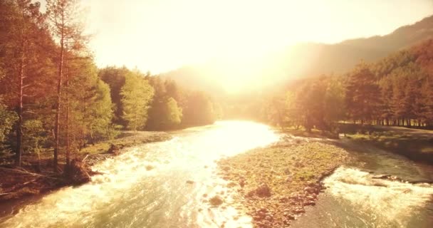 4 k Uhd havadan görünümü. Düşük uçuş üzerinde taze soğuk dağ nehir kıyısında güneşli yaz sabahı. — Stok video