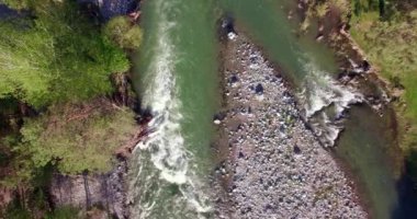 4 k Uhd havadan görünümü. Düşük uçuş üzerinde taze soğuk dağ nehir kıyısında güneşli yaz sabahı.