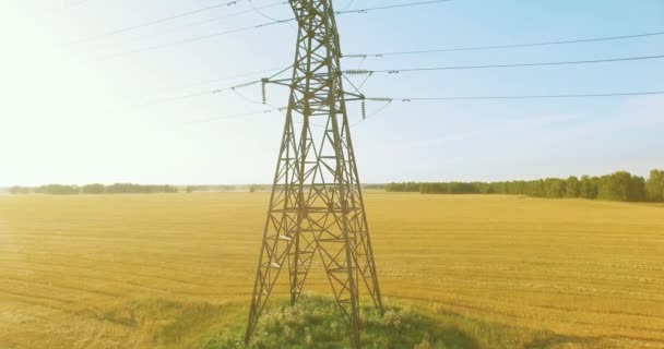 Vertical movement flight near high voltage electricity tower and power lines at green and yellow field — Stock Video