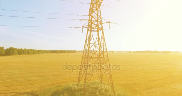 Vuelo de movimiento vertical cerca de la torre de alta tensión y líneas eléctricas en el campo verde y amarillo — Vídeo de stock