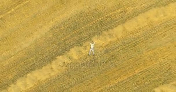 Aerial view. Vertical motion flight over man lying on yellow wheat field — Stock Video