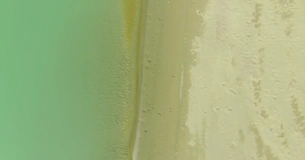 Vue aérienne UHD 4K. Survol d'une rivière de montagne fraîche. Vue verticale et mouvement horizontal 