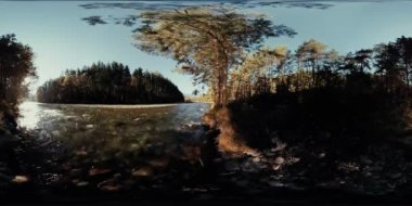 4k 360 Vr sanal gerçeklik bir nehir akar bu güzel orman kayalarda üzerinde