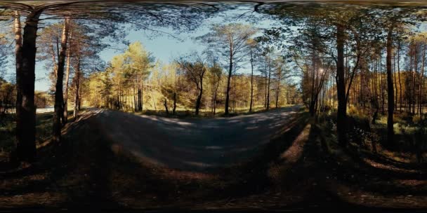 UHD 4K 360 VR Realidad virtual de un hermoso paisaje de bosque de montaña soleado — Vídeo de stock