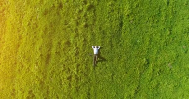 Vertikální pohyb letu nad podnikatel leží na svěží zelené louky. Pohled shora na relaxační muž. — Stock video