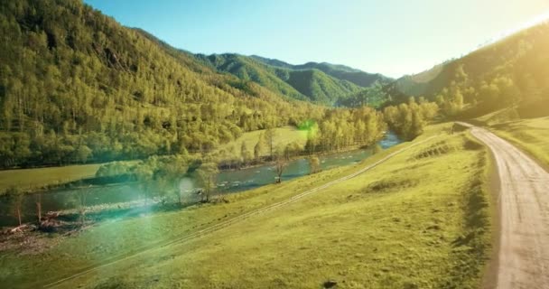 UHD 4k havadan görünümü. Düşük uçuş taze soğuk dağ nehir, çayır ve yola güneşli yaz sabahı. — Stok video