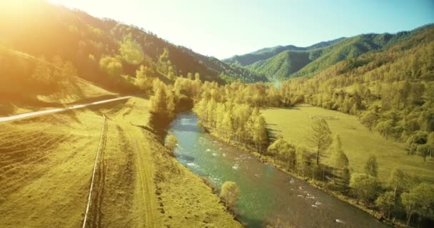 Mid-air flight over fresh mountain river and meadow at sunny summer morning. Rural dirt road below. — Stock Video