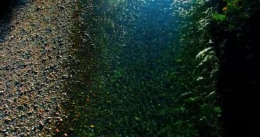 Havadan Uhd 4k görünümü. Taze dağ nehir üzerinde uçuş. Dikey yatay tilt hareketi olarak.