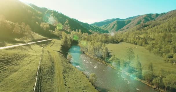 Légi járat friss hegyi folyó és a rét, napsütéses nyári reggel. Vidéki földút alatt. — Stock videók