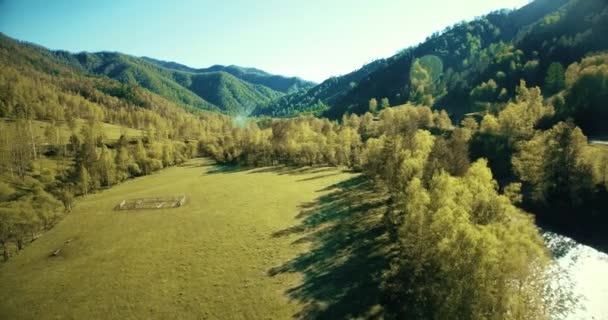 Voo no meio do ar sobre o rio e o prado da montanha fresca na ensolarada manhã de verão. Estrada de terra rural abaixo . — Vídeo de Stock