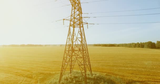 Vuelo de movimiento vertical cerca de la torre de alta tensión y líneas eléctricas en el campo verde y amarillo — Vídeos de Stock