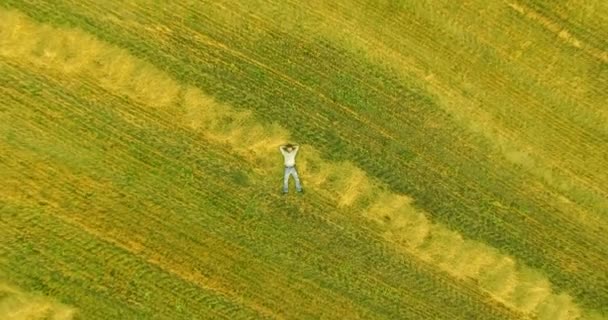 Luftaufnahme. Vertikalflug über Mann, der auf gelbem Weizenfeld liegt — Stockvideo