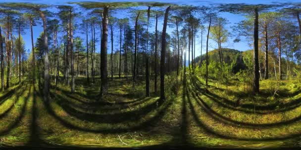 UHD 4K 360 VR Virtual Reality of a beautiful sunny mountain forest landscape — Stock Video