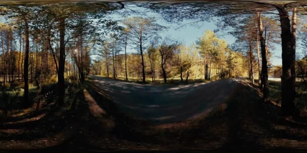 UHD 4k güzel güneşli dağ orman manzara 360 Vr sanal gerçeklik — Stok video