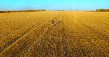 Düşük uçuş bir büyük buğday tarlada yürüyen genç adam turist üzerinde. Eller yukarı, kazanan, mutlu ve özgürlük kavramı.