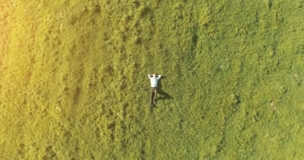 Vertikalflug über Geschäftsmann, der auf frischer grüner Wiese liegt. Blick von oben auf entspannten Mann. — Stockvideo