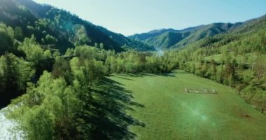 Taze dağ nehir ve güneşli yaz sabahı, çayır üzerinde havada uçuş. Kırsal toprak yol aşağıdaki.