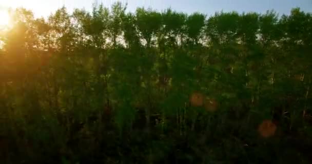 Vista aérea de 4k. Bajo vuelo sobre campo rural de trigo verde y amarillo . — Vídeos de Stock