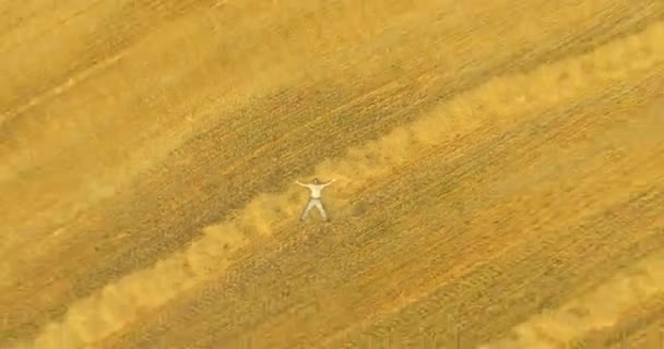 Aerial view. Vertical motion flight over man lying on yellow wheat field — Stock Video