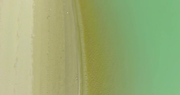 Vue aérienne UHD 4K. Survol d'une rivière de montagne fraîche. Vue verticale et mouvement horizontal 